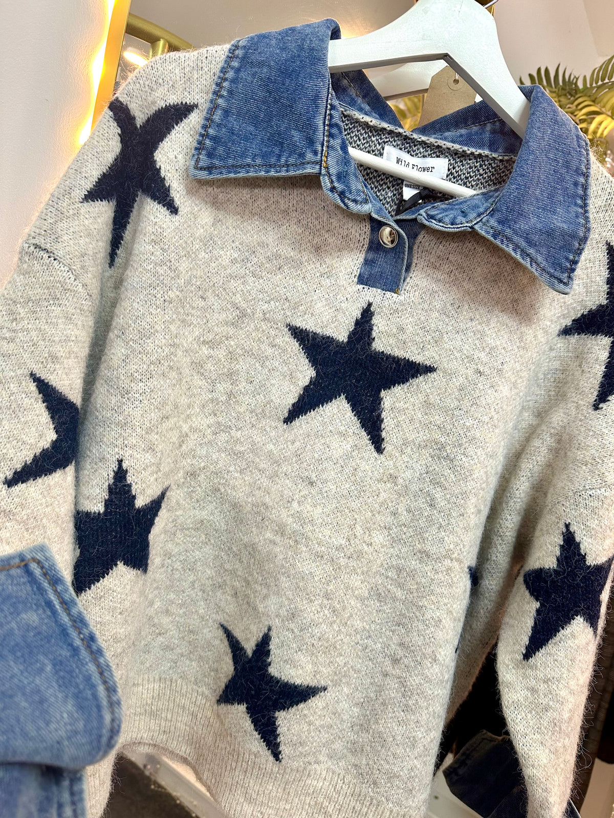 STAR GAZER